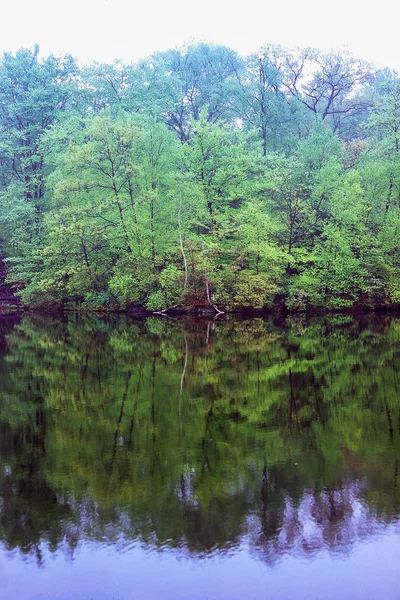 Lago con bosque de otoño — Foto de Stock