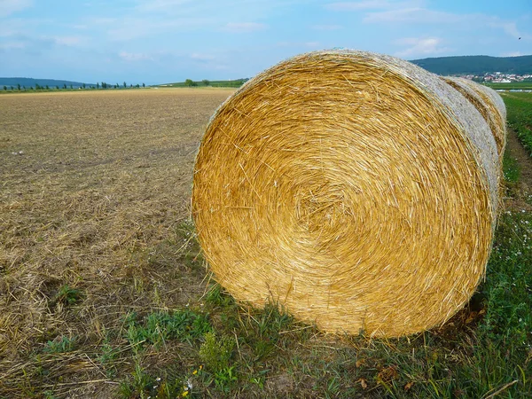 필드에 짚으로 bales — 스톡 사진