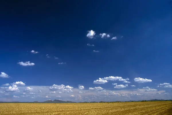 Agriculture Field after harvest — Stock Photo, Image