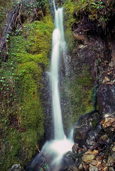 Vattenfall i nationalparken — Stockfoto