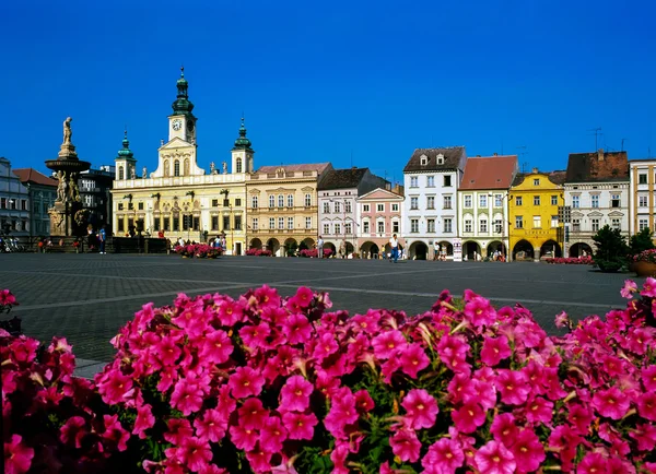 Stadhuis in Ceske Budejovice, Tsjechië Rechtenvrije Stockfoto's