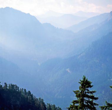 Bavyera Alpleri siste