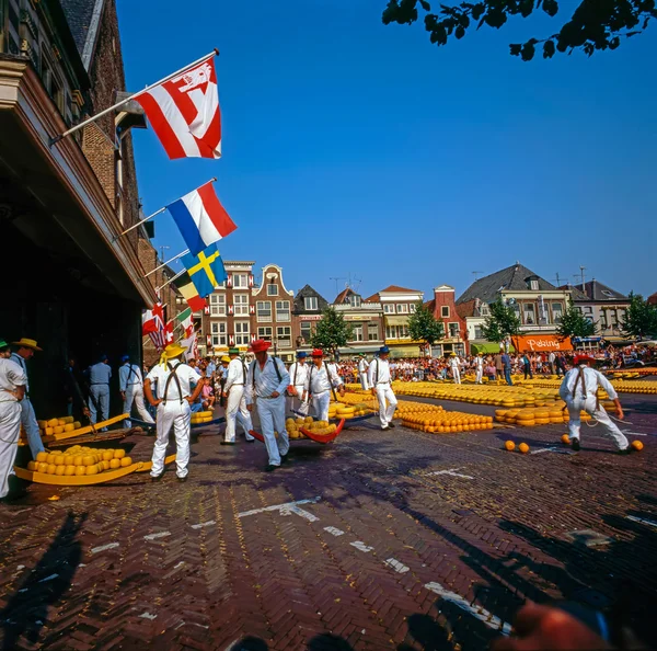 Kaasmarkt in alkmaar — Stockfoto