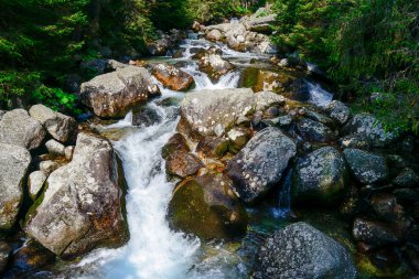 Dağ dere içinde yüksek Tatra Dağları