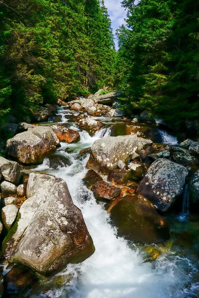 Arroyo de montaña en las altas montañas de Tatra — Foto de Stock