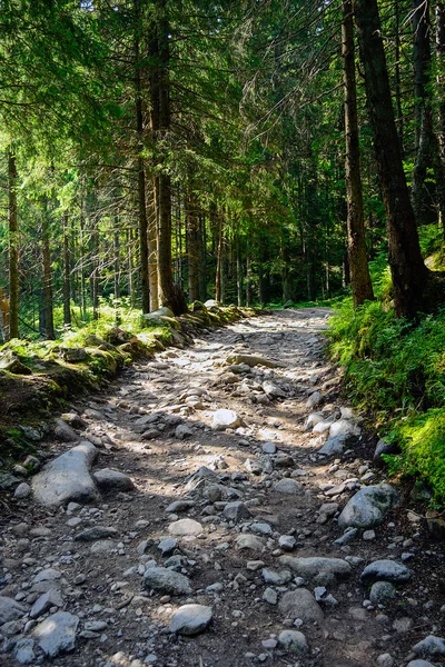 Yüksek Tatra Dağları 'ndaki dağ yolu — Stok fotoğraf