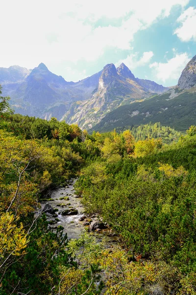 Slovakya 'daki Yüksek Tatra Dağları Deresi — Stok fotoğraf