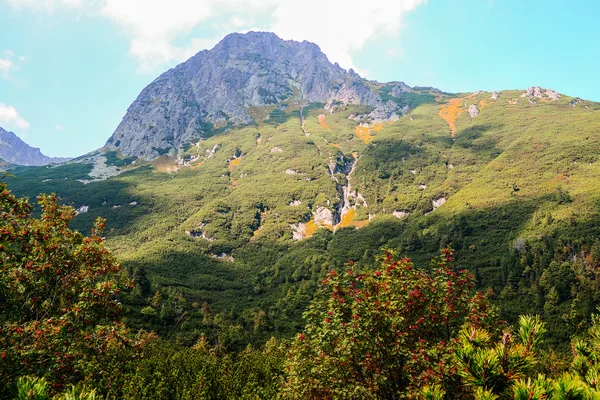 Yüksek Tatra Dağları, Slovakya — Stok fotoğraf