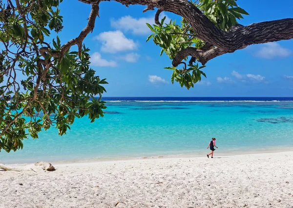 Playa Nueva Caledonia — Foto de Stock