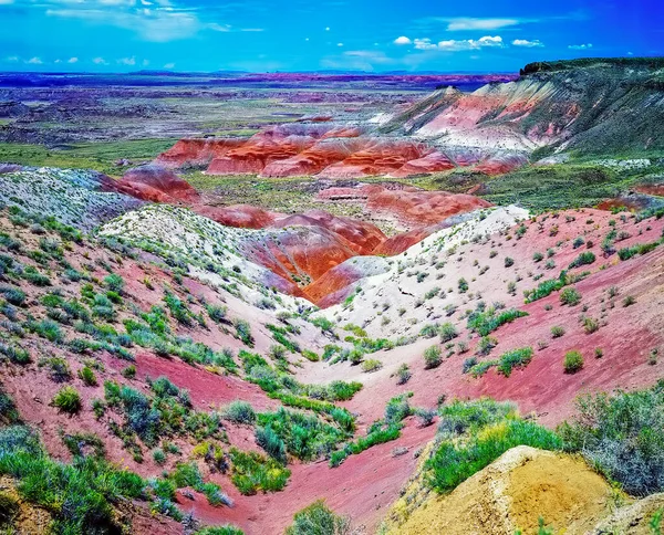 Bemalte Wüste Arizona — Stockfoto