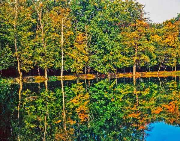 Gölü Olan Sonbahar Ormanı — Stok fotoğraf