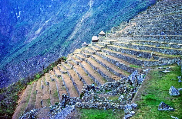 Terasz Machu Picchun Peruban — Stock Fotó