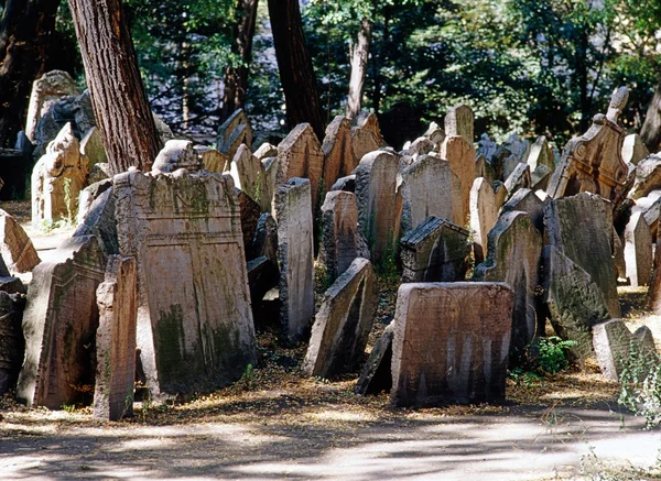 Old Jewish Cemetery — Stock Photo, Image