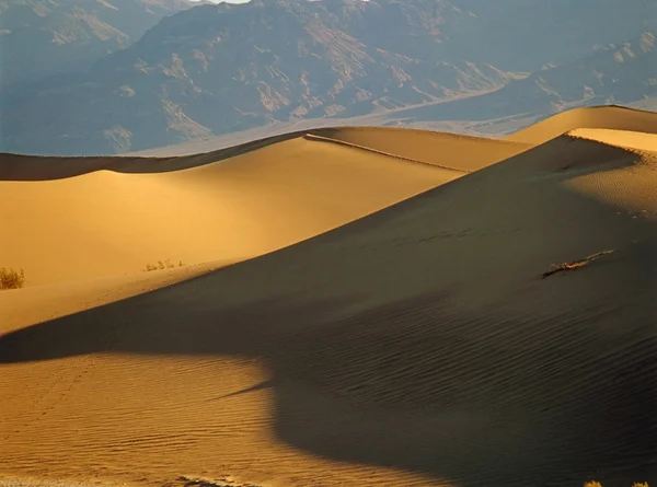 Sanddyner — Stockfoto