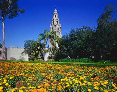Balboa park, san diego
