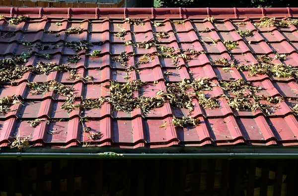 Roof — Stock Photo, Image