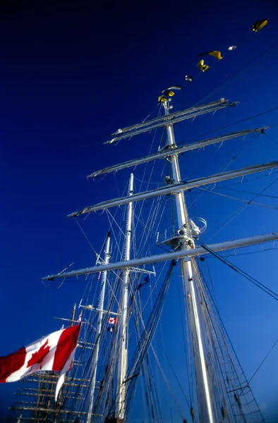 背の高い船 — ストック写真