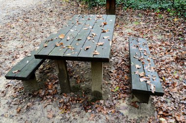 Orman dinlenme alanı