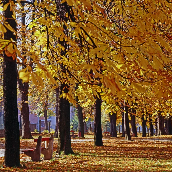 Herbst — Stockfoto