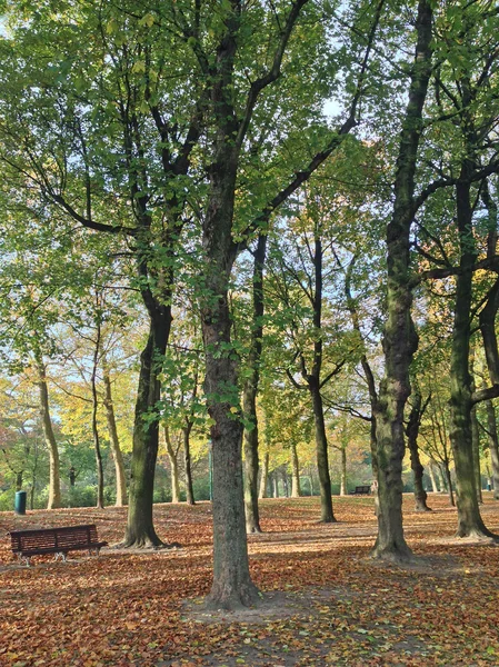 Parque en Bruselas, Bélgica —  Fotos de Stock