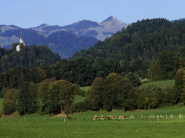 Bavarian scenery — Stock Photo, Image