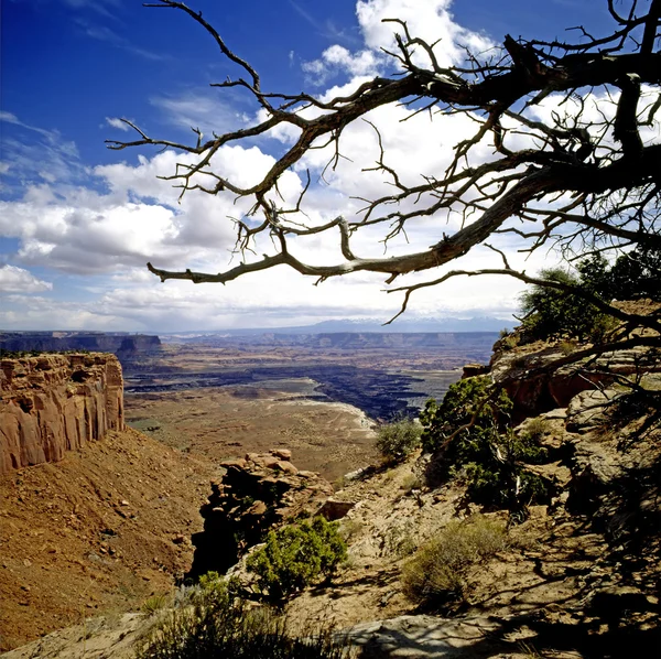 Canyonlands — Stockfoto