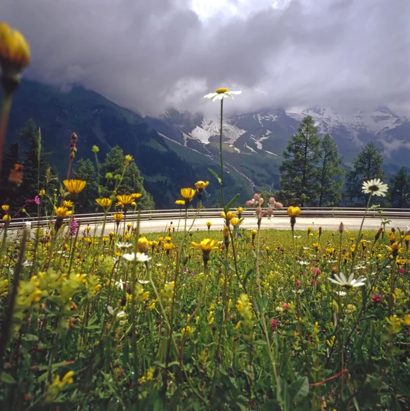 Oostenrijkse Alpen — Stockfoto