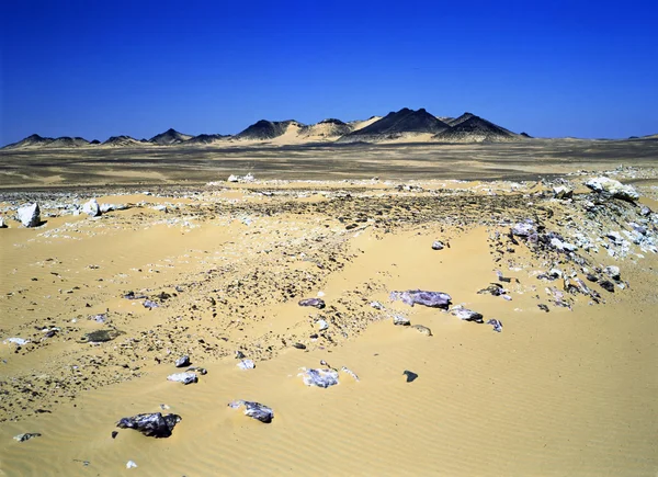 Woestijn — Stockfoto