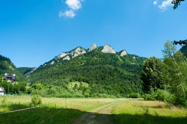 Tři koruny — Stock fotografie