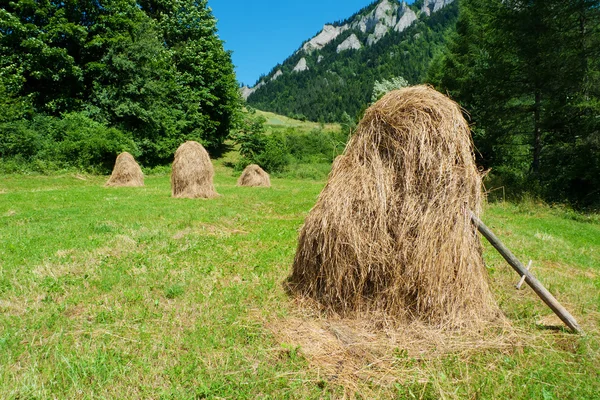 Szalmakazlak — Stock Fotó