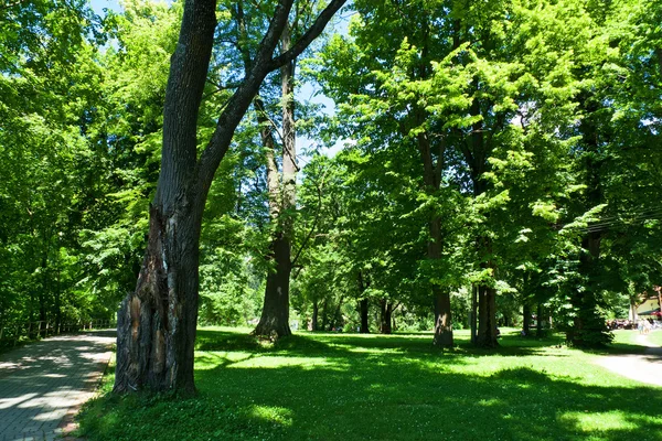 Parque — Foto de Stock