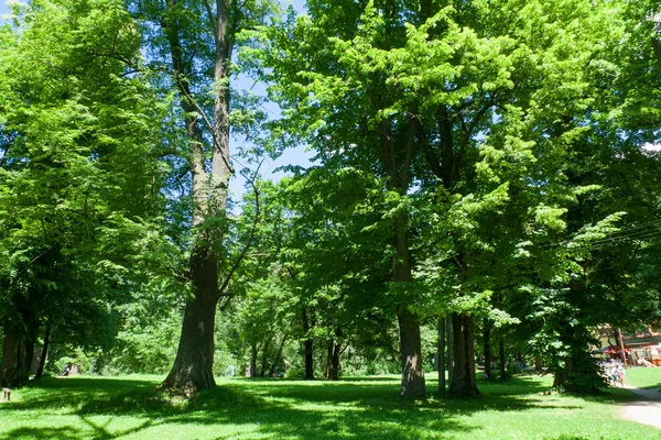 Parque — Foto de Stock