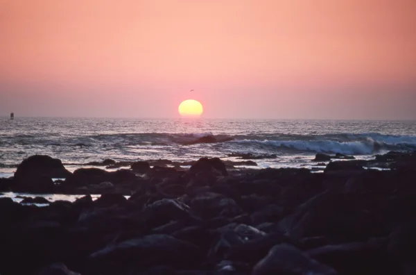 Océano Pacífico al atardecer —  Fotos de Stock