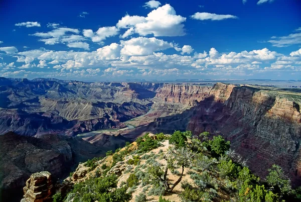 Gran cañón — Foto de Stock