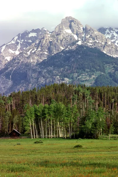 Grand teton, wummernd — Stockfoto