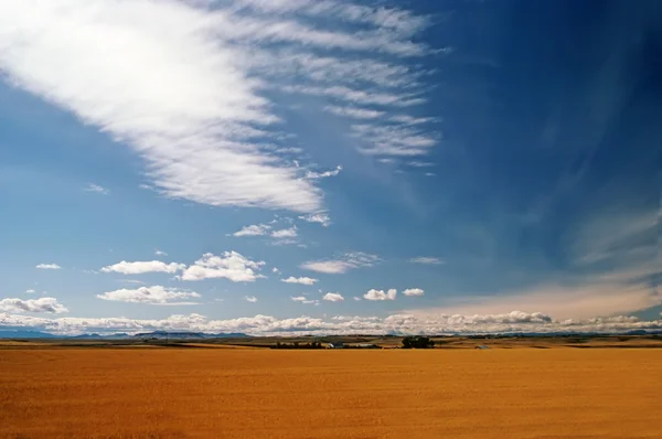Fält, Montana — Stockfoto