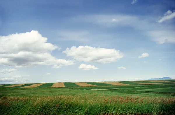 Fält i Montana — Stockfoto