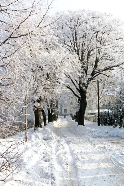 Straße — Stockfoto