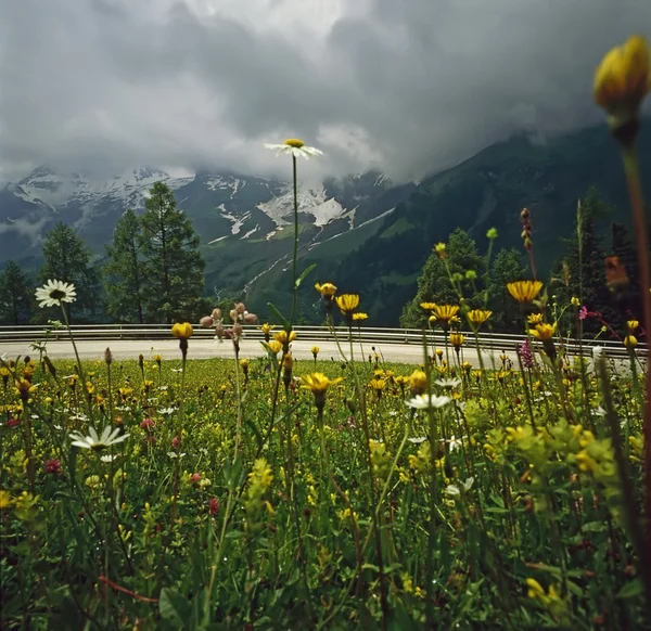 Alp yolu — Stok fotoğraf