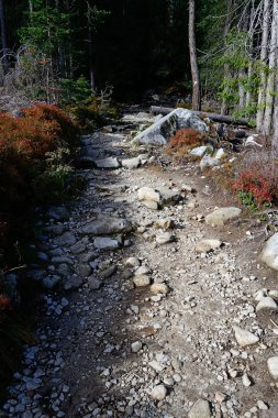dağlarda turistik yol