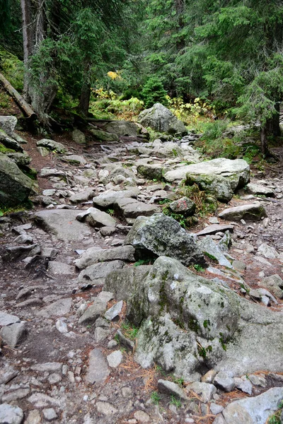 Sentier touristique en montagne — Photo