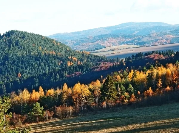 Осенний пейзаж с лесом — стоковое фото