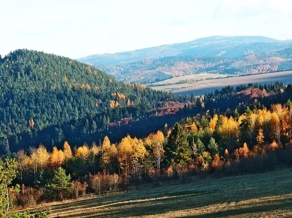 Autumn landscape with forest — Stock Photo, Image