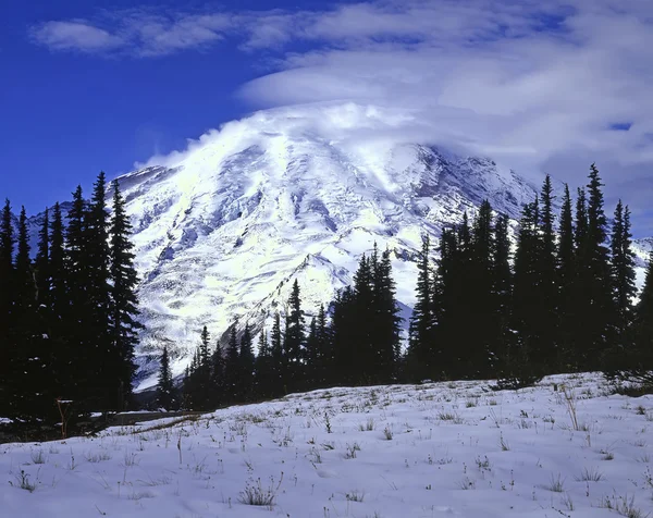 Mt.rainier 华盛顿 — 图库照片