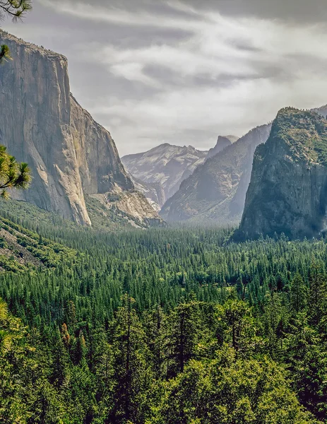 ヨセミテ バレー、カリフォルニア州 — ストック写真