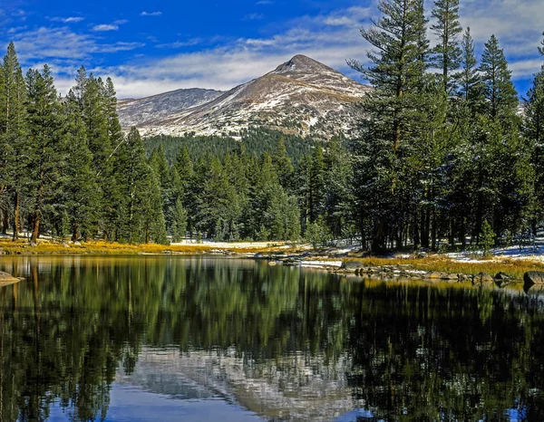 Yosemite Nemzeti Park — Stock Fotó