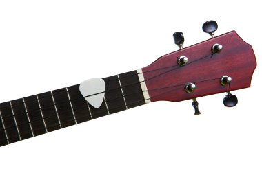 Beyaz çekme üzerinde izole ukulele klavye ile