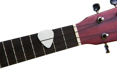 Beyaz çekme üzerinde izole ukulele klavye ile