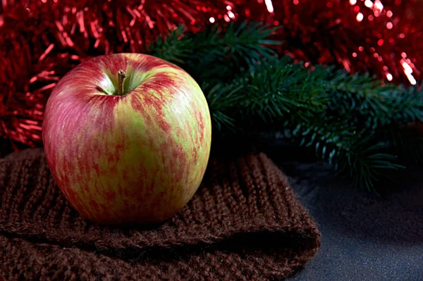 Big apple and pine on blured background