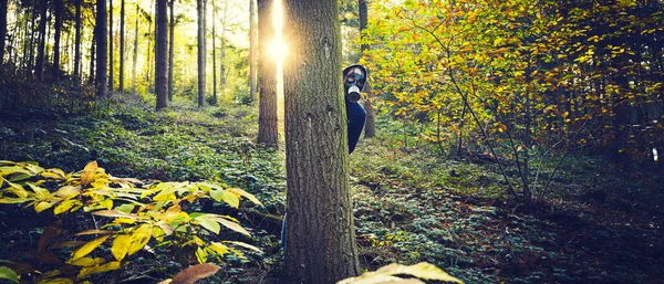 Uomo Con Maschera Antigas Nella Foresta All Alba — Foto Stock